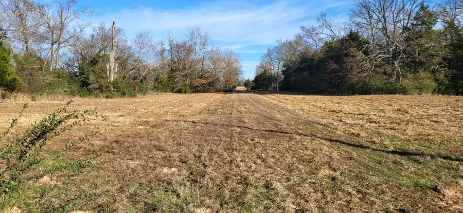 1191 County Road 2420, Pickton, TX 75471 - #3