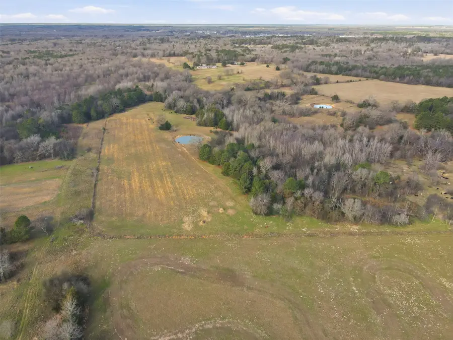 775 County Road 4919, Quitman, TX 75783 - #3