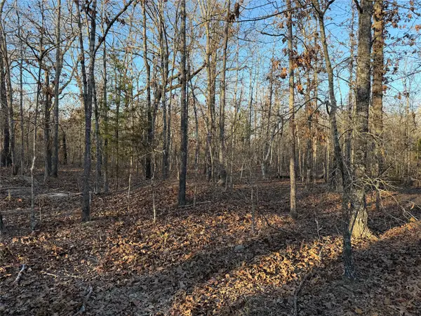 TBD Cr 45610, Blossom, TX 75416