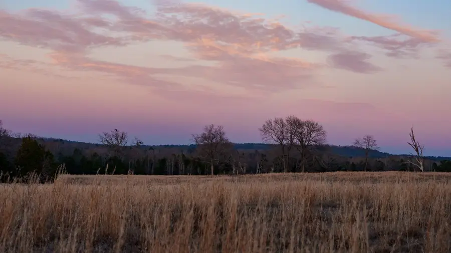 6008 Fm 344 E, Tyler, TX 75703 - Image #3