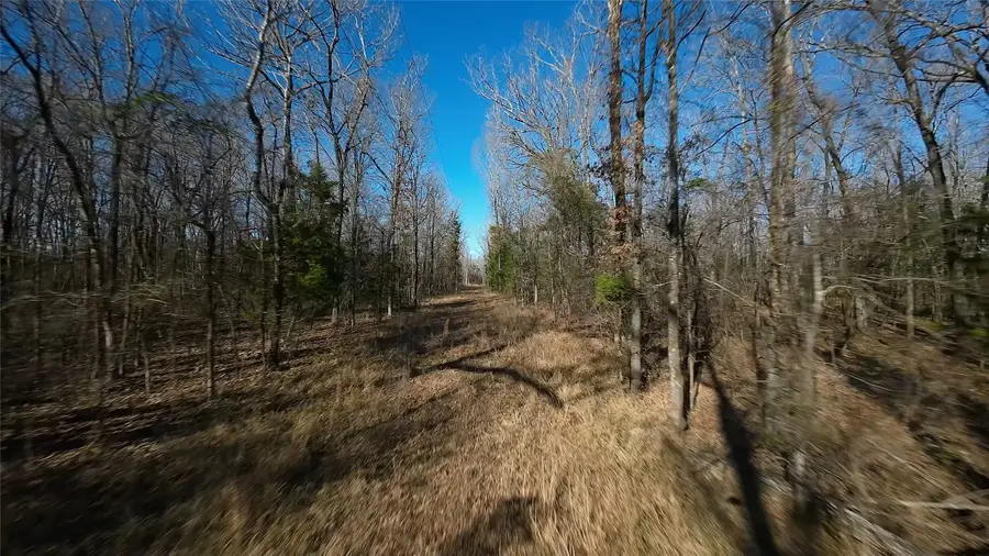 NW Cr4239 At Cr4240, Simms, TX 75574 - Image #2