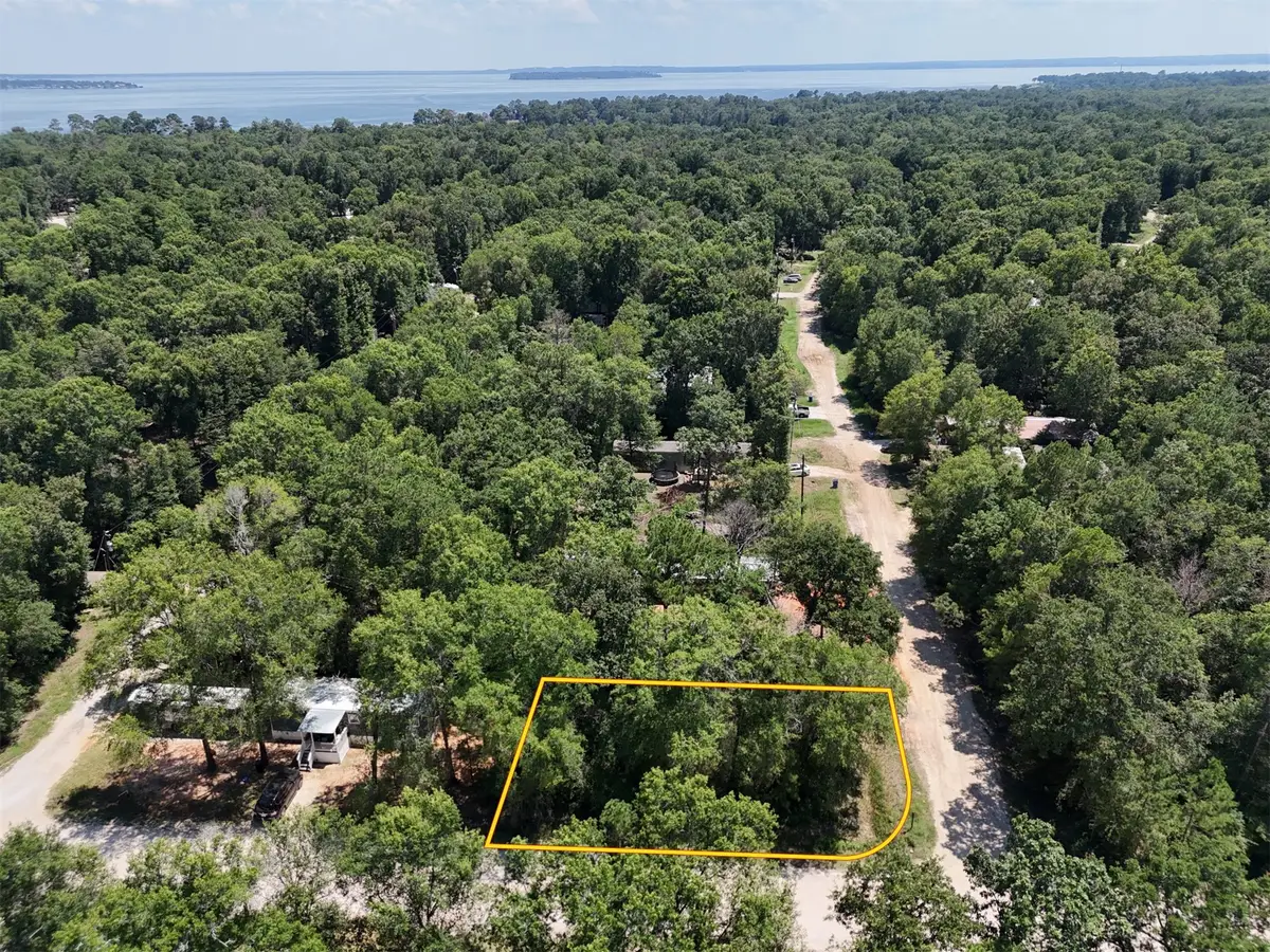 Lot 101 Ithica, Livingston, TX 77351 - #1