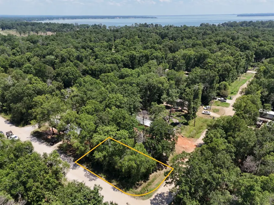 Lot 101 Ithica, Livingston, TX 77351 - #3