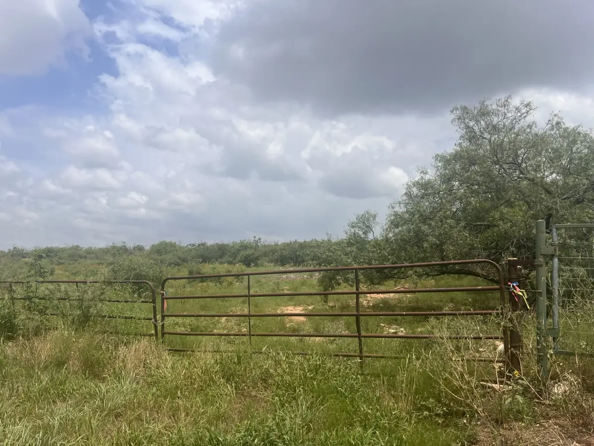 TBD Fm-1770, Winters, TX 79567 - #1