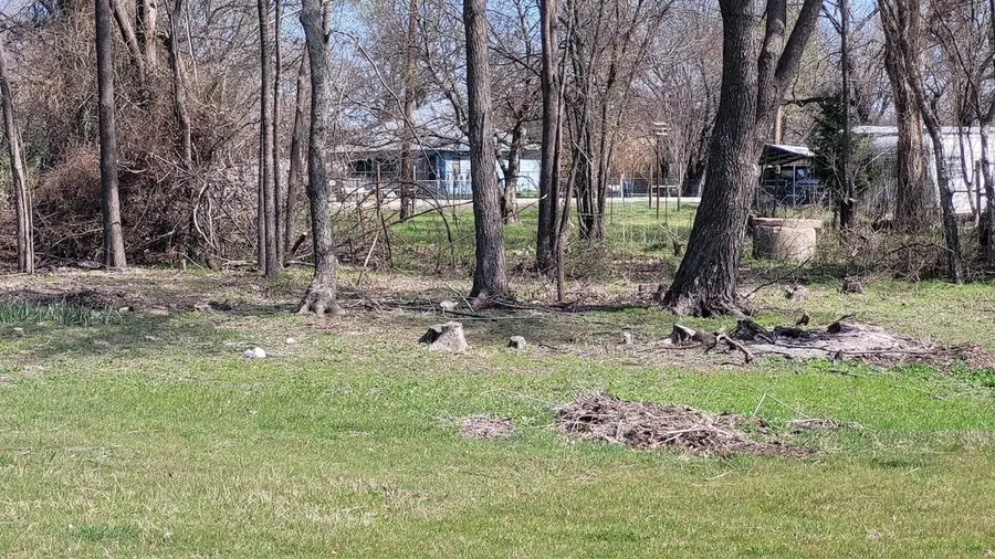 101 E Dalewood Street, Richland, TX 76681 - #2