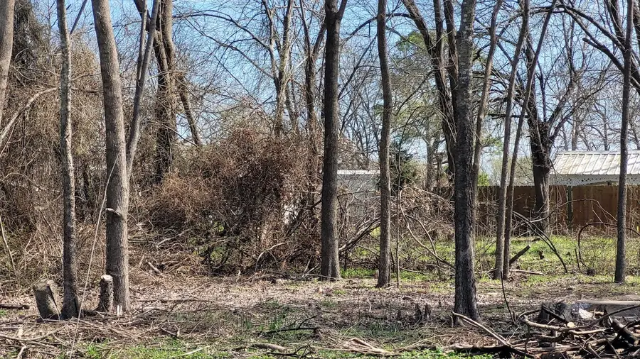 101 E Dalewood Street, Richland, TX 76681 - #3