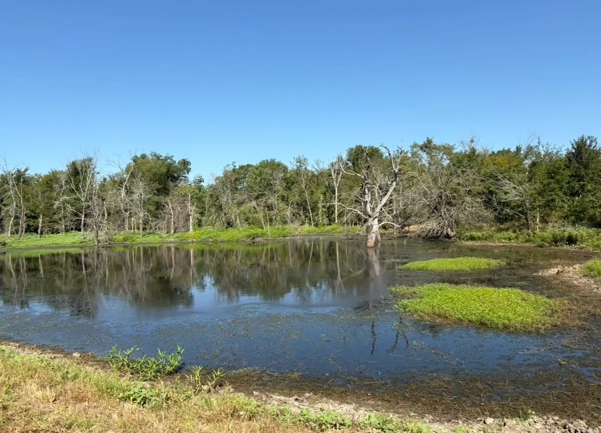 TBD County Road 4744, Sulphur Springs, TX 75482 - #1