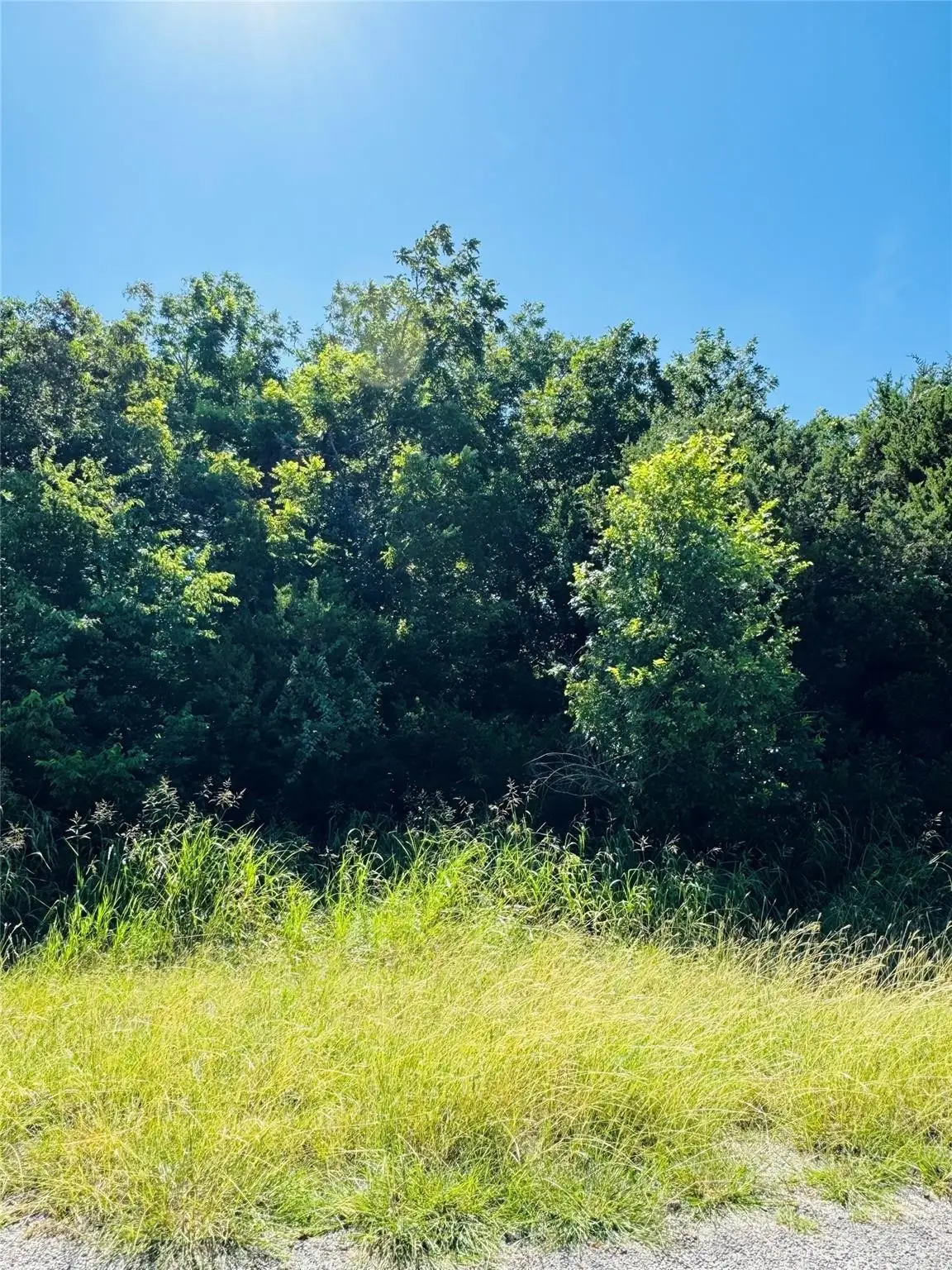 1277 Paint Brush Court, Whitney, TX 76692 - #1