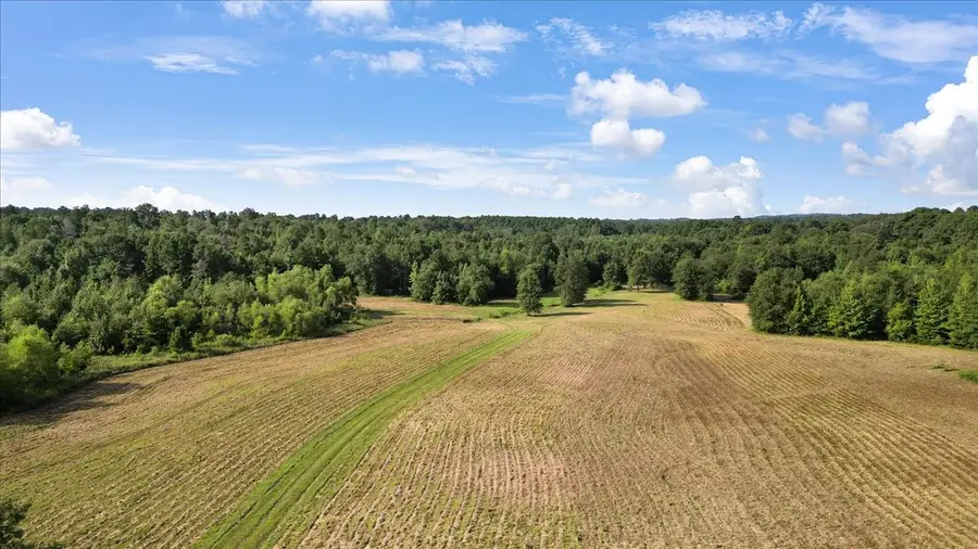 TBD S Live Oak, Gilmer, TX 75644 - #3