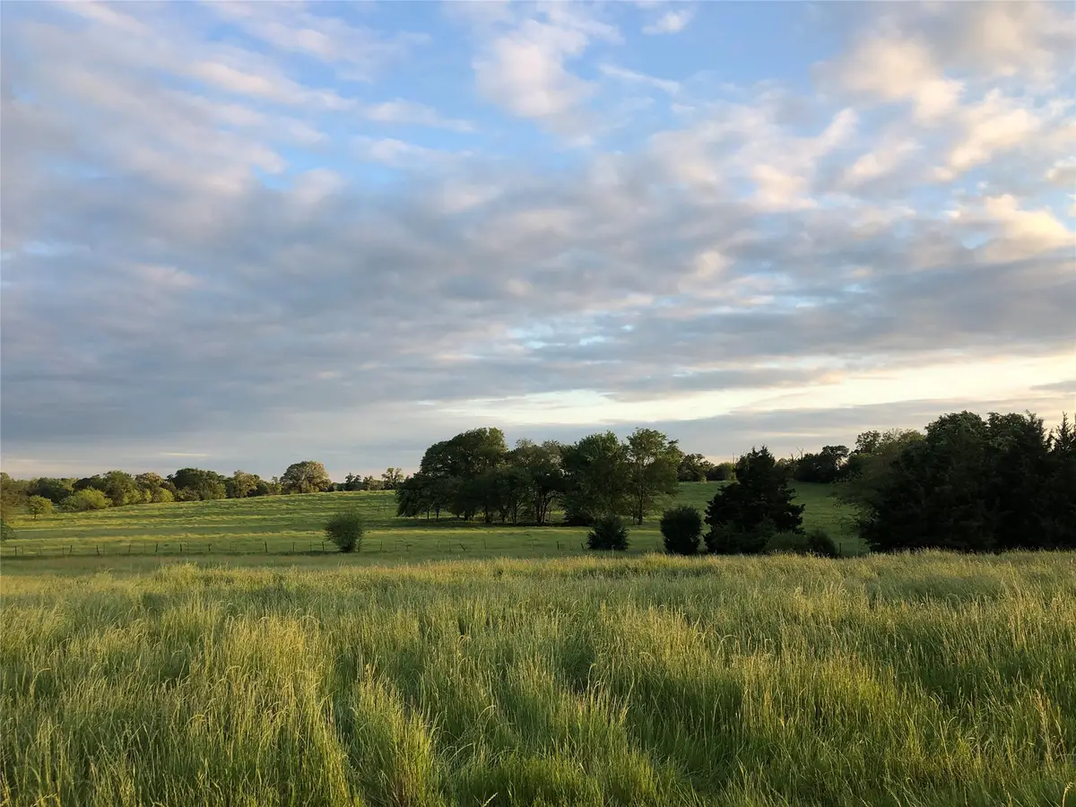 3739 W Fm 515, Como, TX 75431 - #1