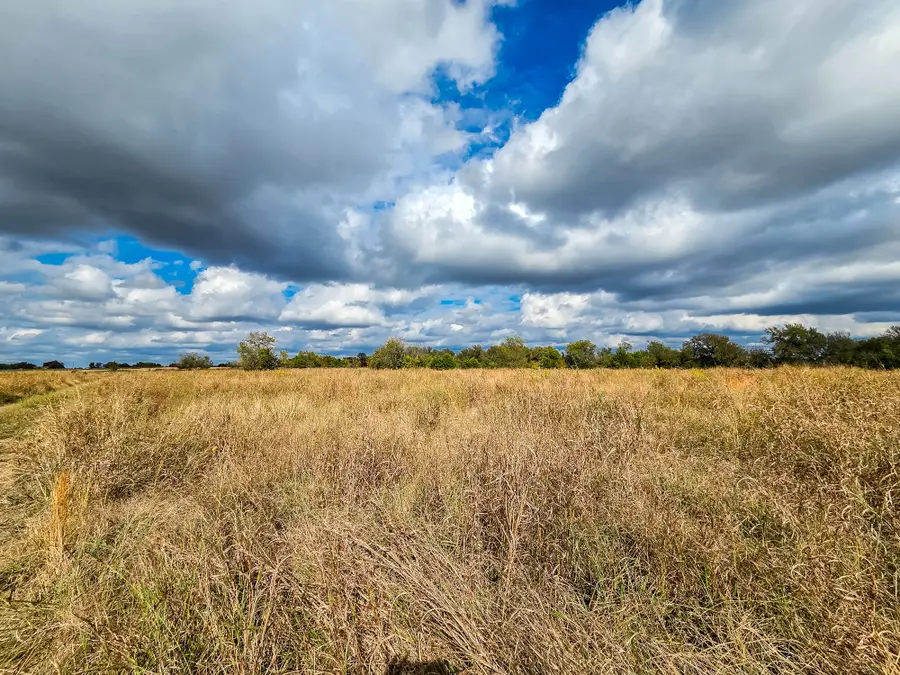 1412 Cr 3830, Wolfe City, TX 75496 - Image #2