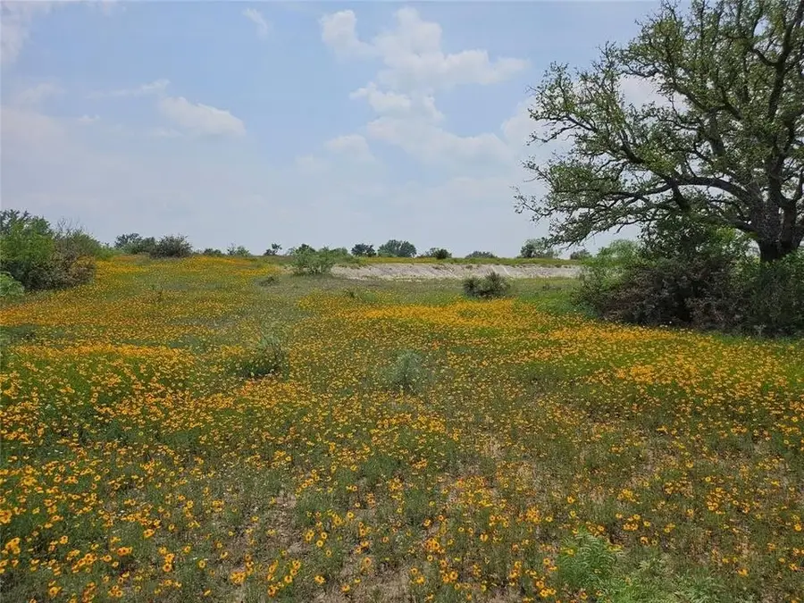 TBD Starks Road, Mason, TX 76856 - #2