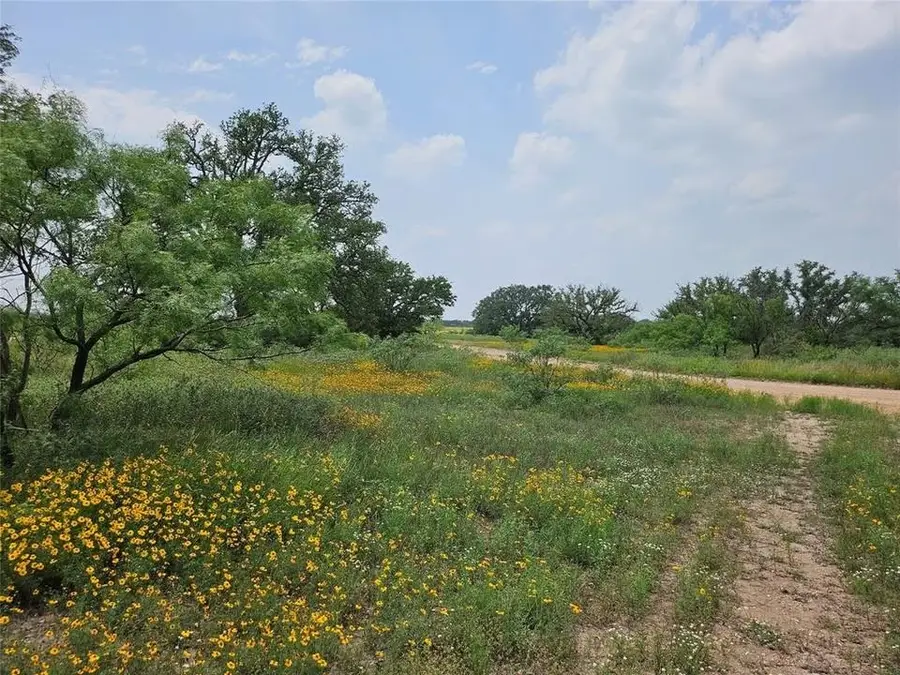 TBD Starks Road, Mason, TX 76856 - #3