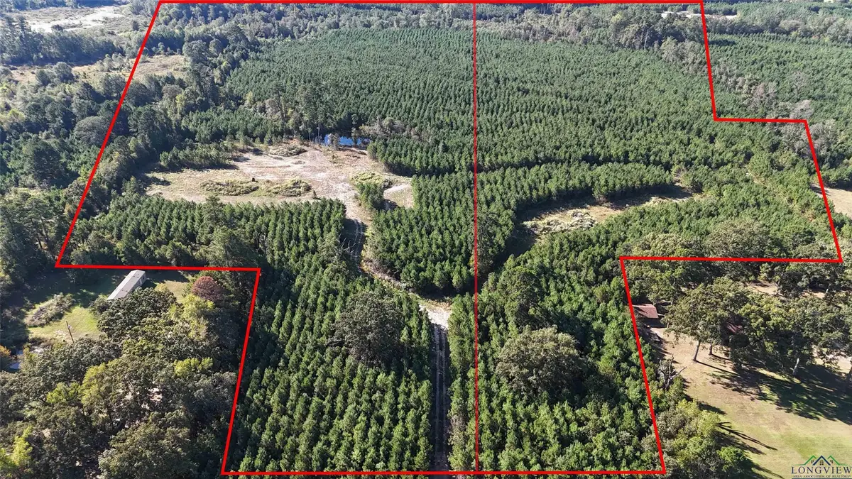 28 ac TBD Fm 726, Jefferson, TX 75657 - #1