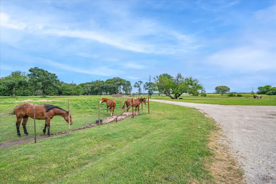 1305 Vz County Road 3821, Wills Point, TX 75169 - Image #2