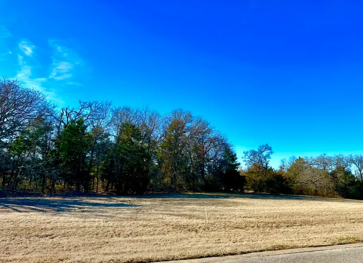 Lot 15 Dublin Circle, Gordonville, TX 76245 - Image #1