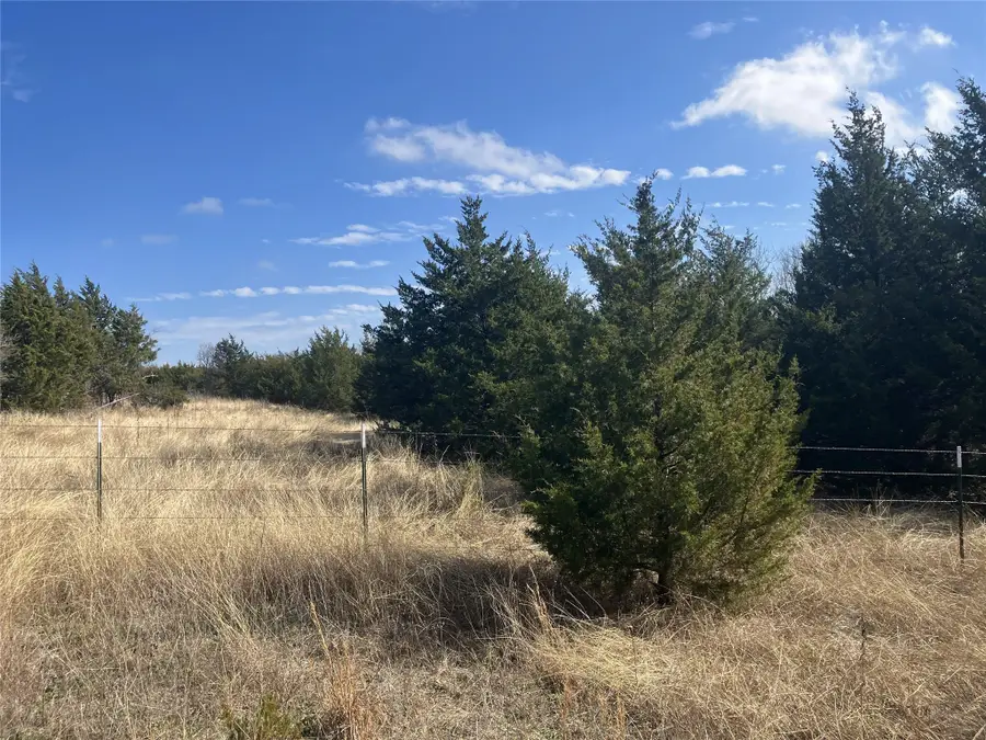 TBD County Road 670, Blue Ridge, TX 75424 - Image #3
