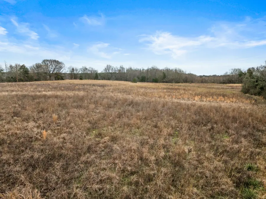 TBD County Road 2212, Pittsburg, TX 75686 - Image #2