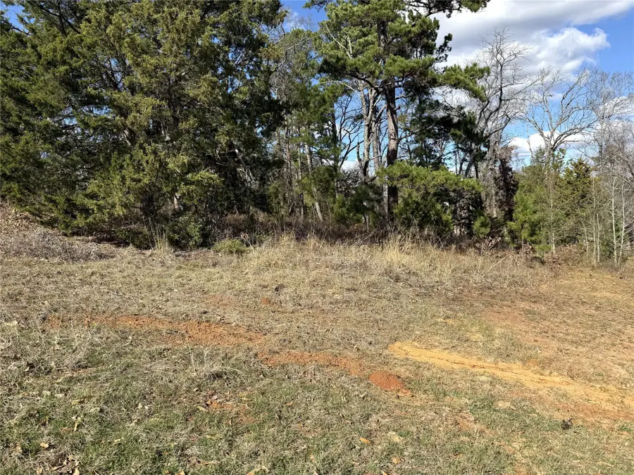 15899 Crazyhorse Drive, Lindale, TX 75771 - Image #2