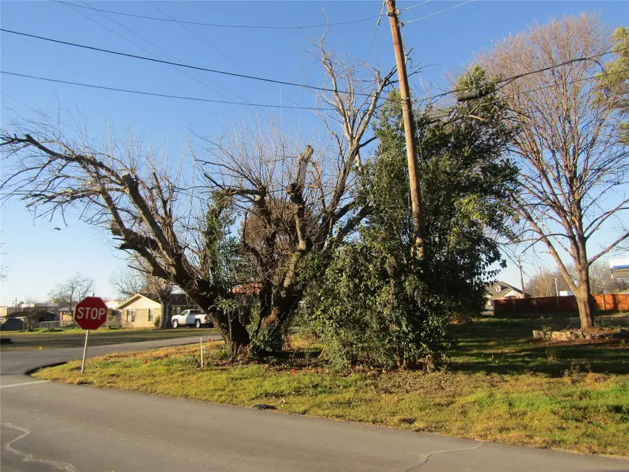 403 E Boyd Avenue, Boyd, TX 76023 - #3