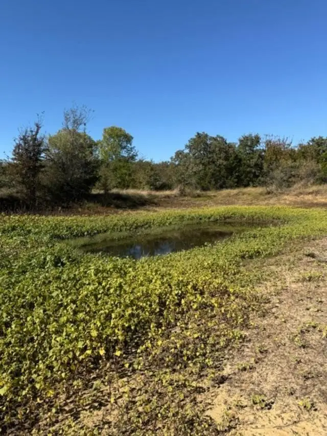 0 S Hwy 281, Mineral Wells, TX 76067 - #3