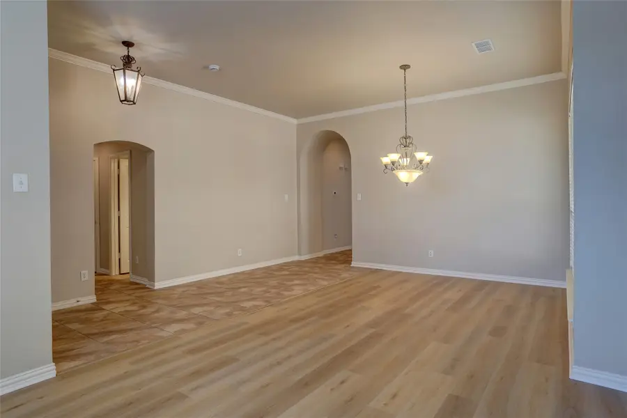 6723 Lee Meadow Drive, Frisco, TX 75035 - Image #3