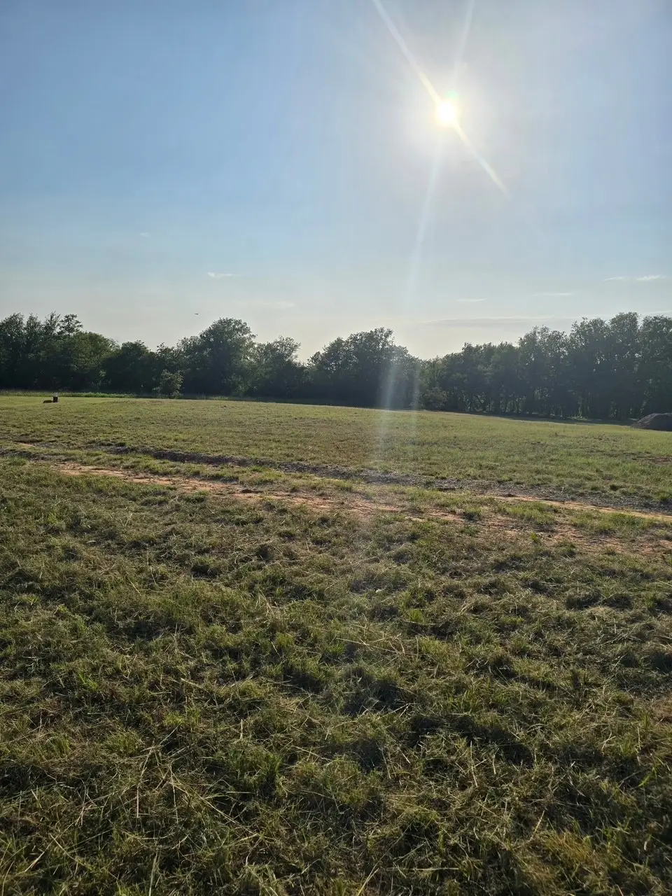 384 Red Oak Hills Road, Nocona, TX 76255 - #1