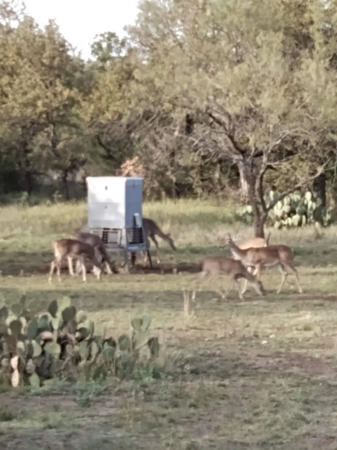 000 County Road 152, Brady, TX 76825 - #1