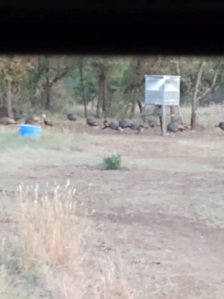 000 County Road 152, Brady, TX 76825 - #3