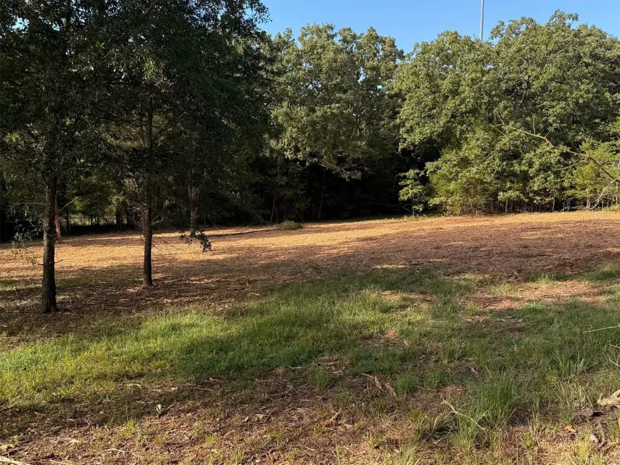 TBD Fm 859, Canton, TX 75103 - #2