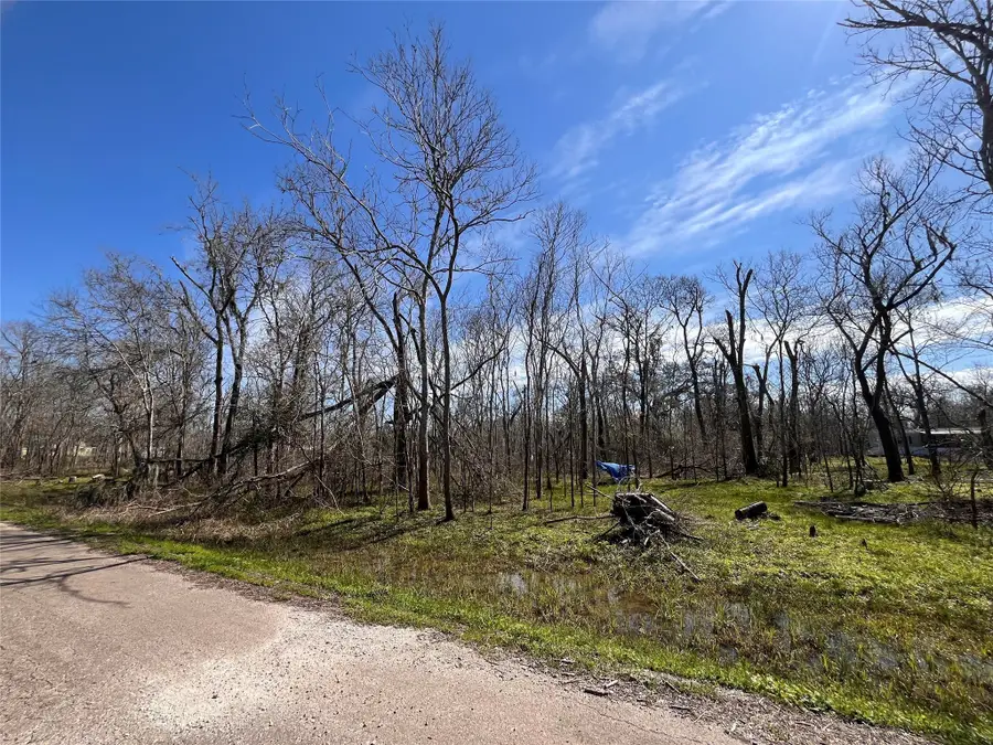 TBD Penguin Lane, Holiday Lakes, TX 77515 - Image #2