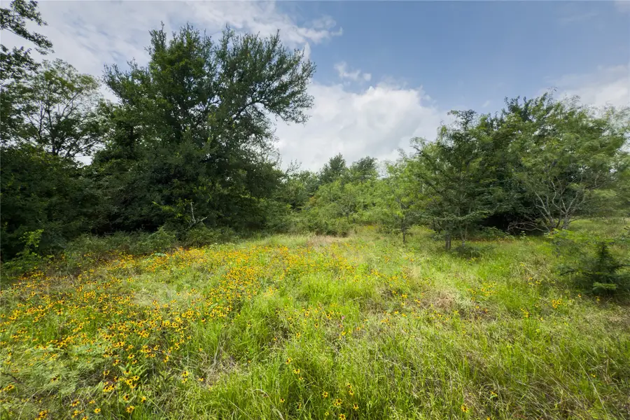 Lot 1 County Road 173, Marlin, TX 76661 - Image #2