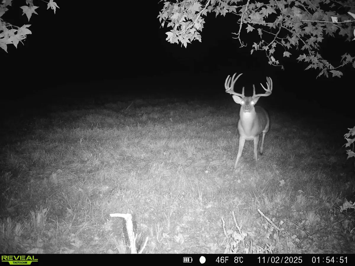 TBD Cr 2738, Naples, TX 75568 - #1