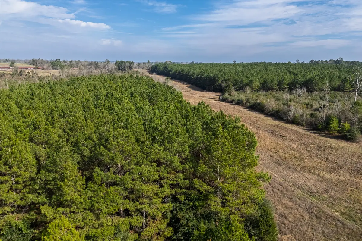 000 County Road 1245, Center, TX 75935 - #1