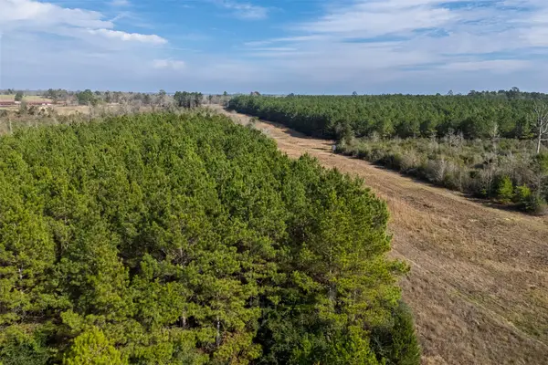 000 County Road 1245, Center, TX 75935