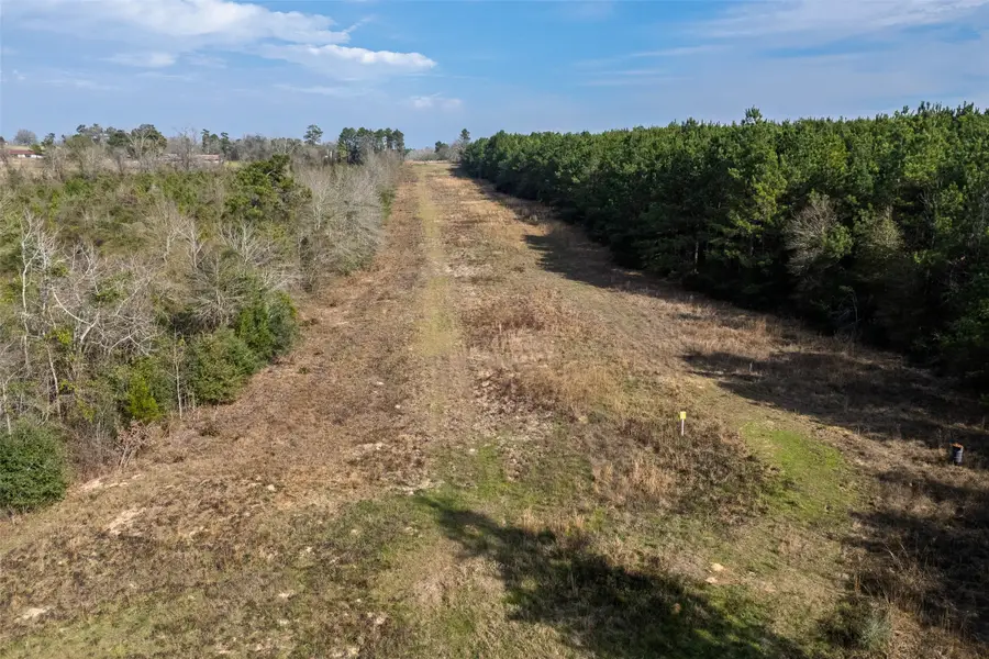 000 County Road 1245, Center, TX 75935 - #2