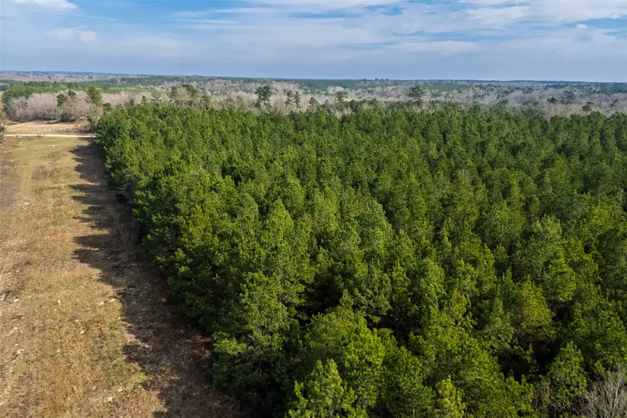 000 County Road 1245, Center, TX 75935 - #3