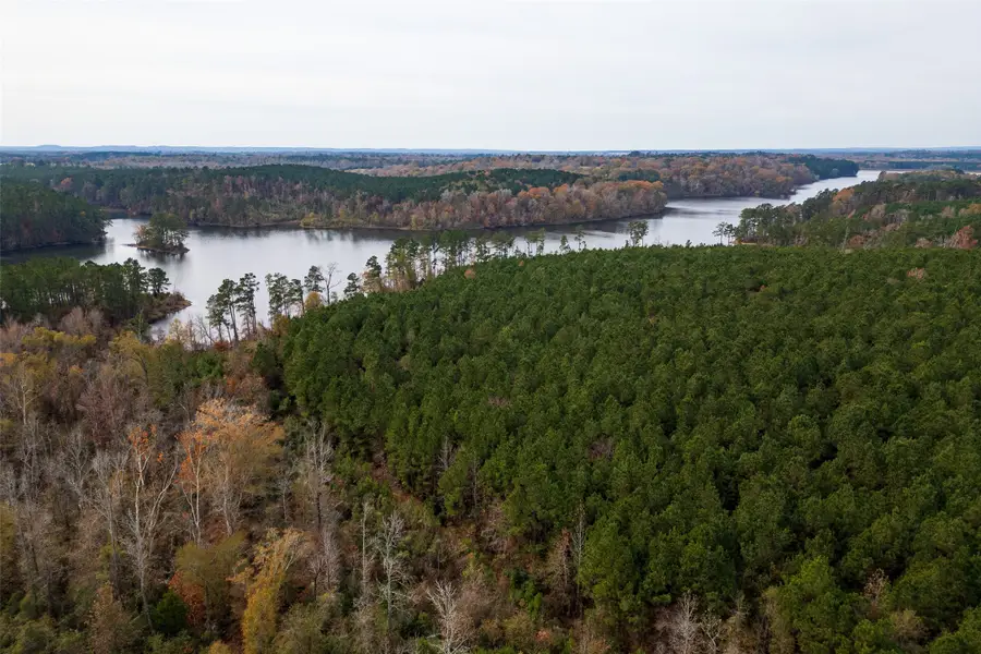 00 County Road 1211, Center, TX 75935 - #2