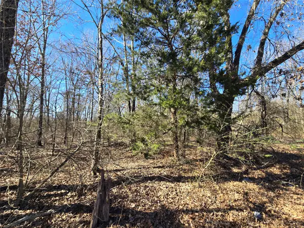 12980 Fm 44 S, Avery, TX 75554