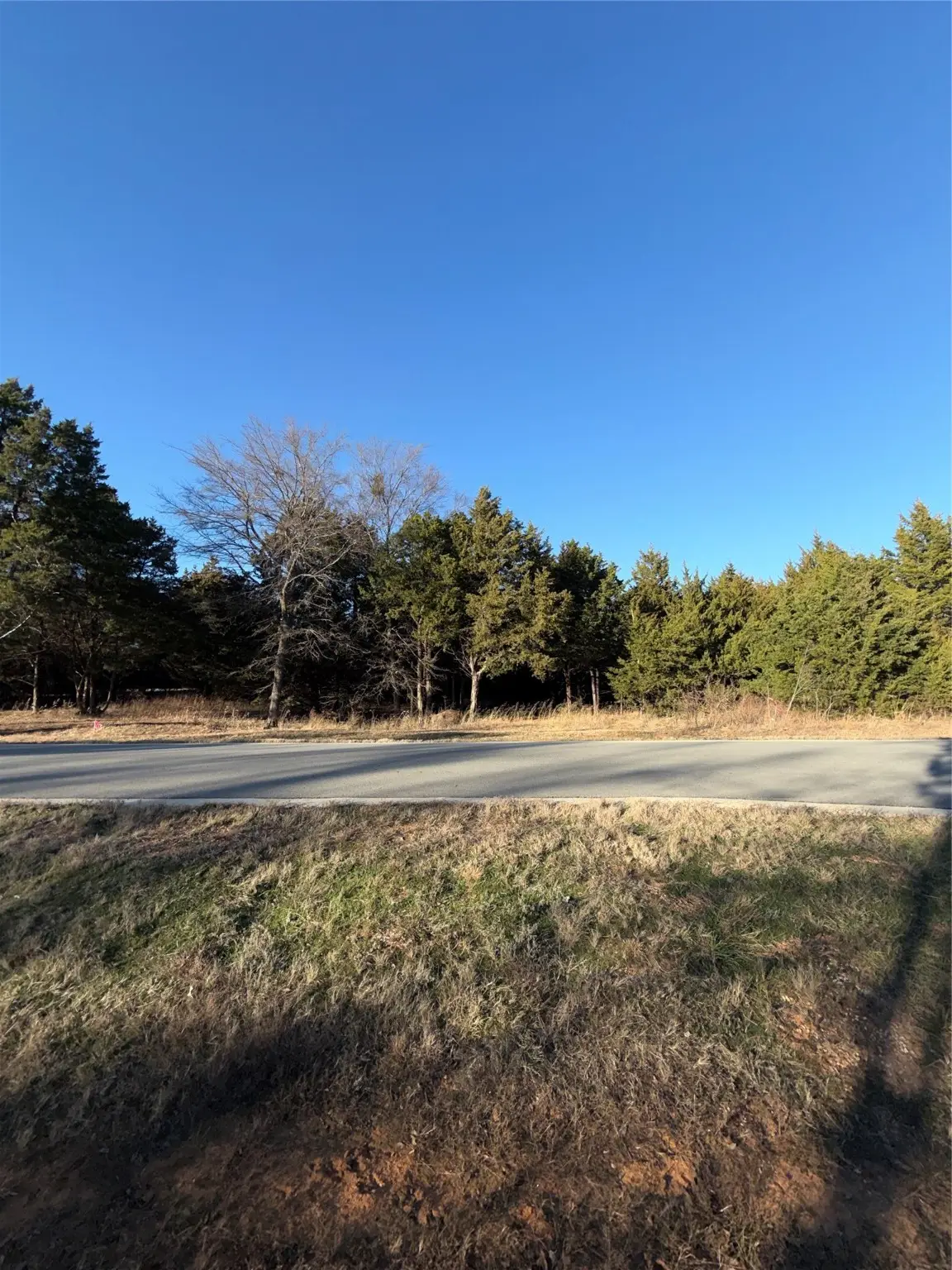 Lot 3 Forest Hills Drive, Gordonville, TX 76245 - Image #1