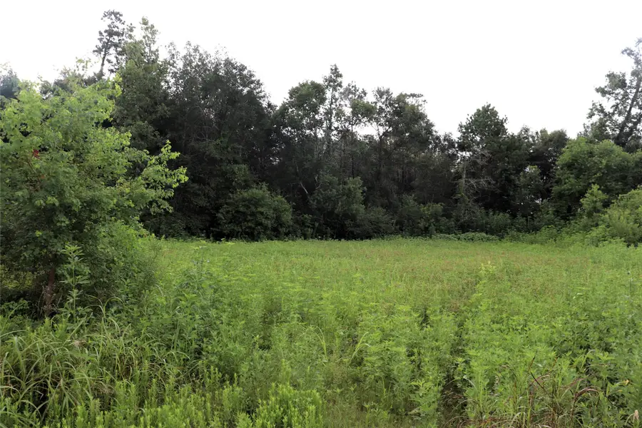 2.8 ac Hwy 90, Devers, TX 77575 - Image #2