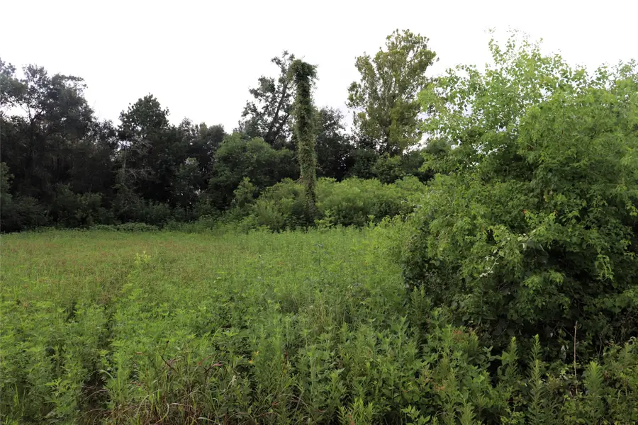 2.8 ac Hwy 90, Devers, TX 77575 - Image #3