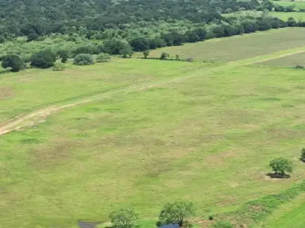 Lot 4 Hackberry Ln, Mineral Wells, TX 76067 - #2