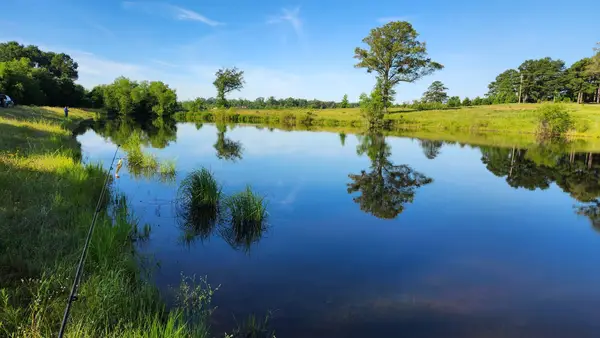 890 Mustang, Longview, TX 75605