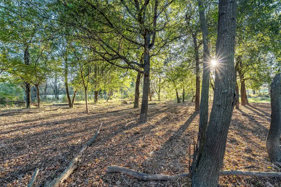 5081 154 Highway, Yantis, TX 75497 - Image #2