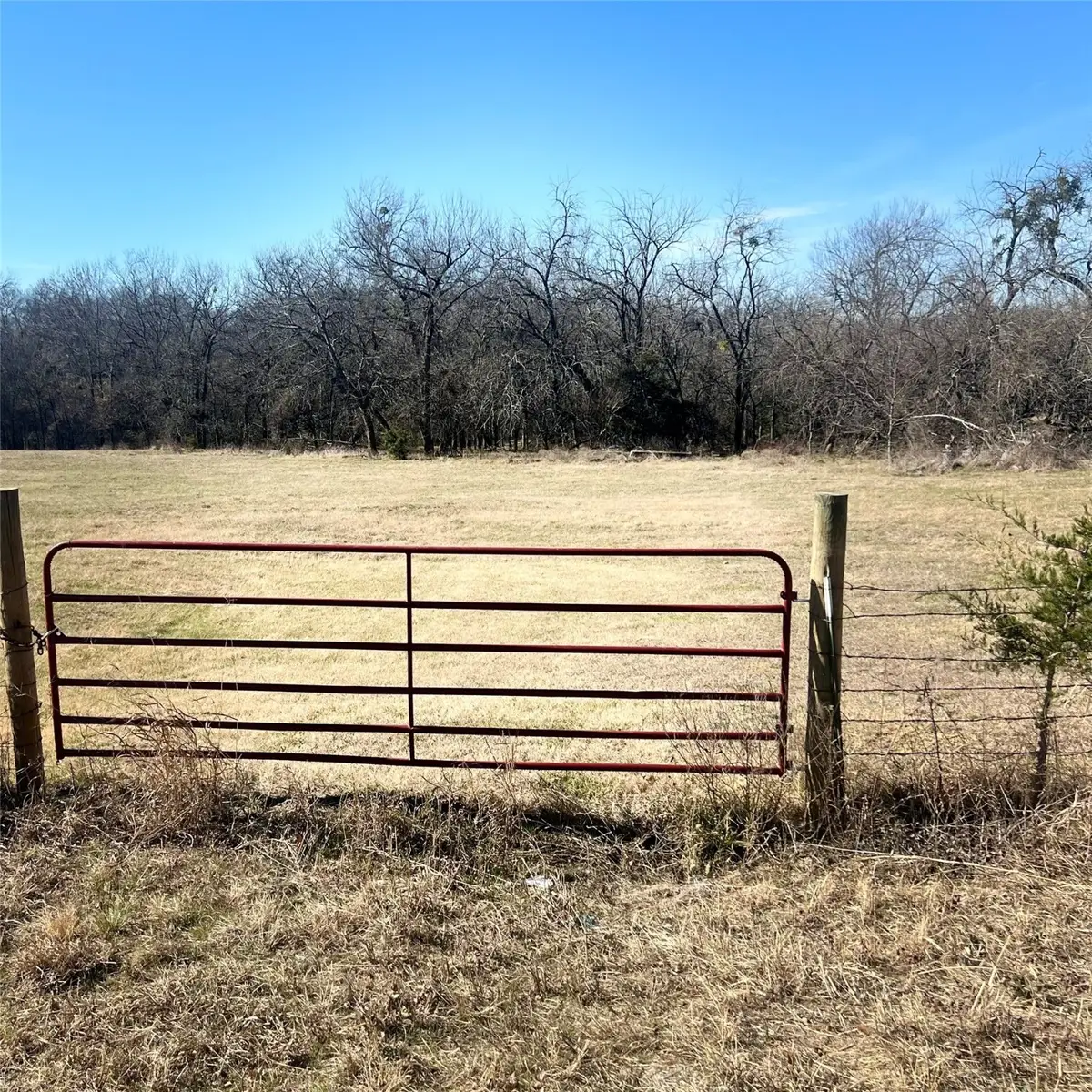 TBD Tx-154, Sulphur Springs, TX 75482 - #1