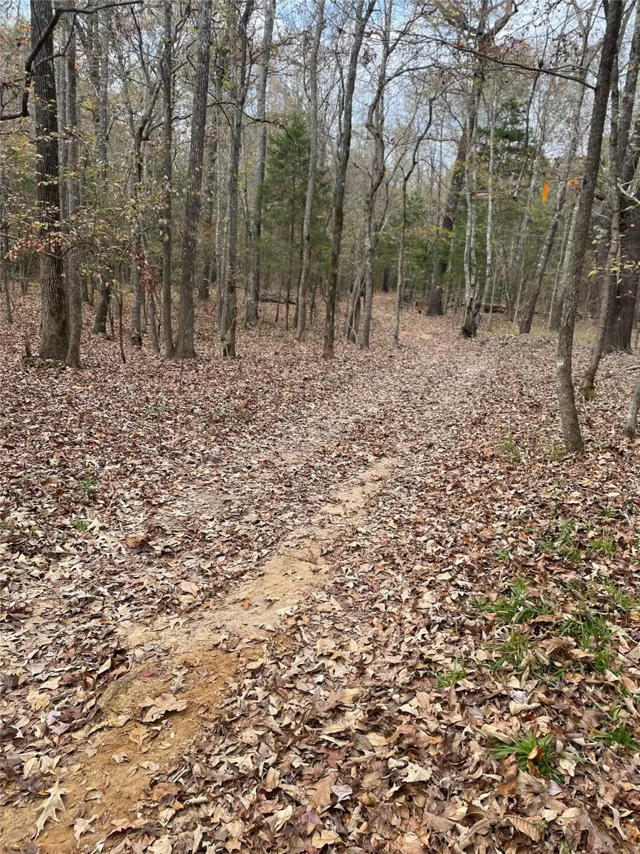 0000 Cr 3450, Hawkins, TX 75765 - #2