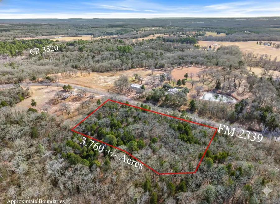 Lot 20,21,22 Fm 2339 (callender Lake X), Murchison, TX 75778 - #2