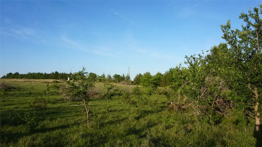 TBD Lot 4 Adams Road, Sherman, TX 75090 - #3