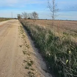 1105 Cr 611, Hamilton, TX 76531 - #2